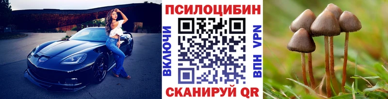 Галлюциногенные грибы мухоморы  mega онион  Инта  наркота 
